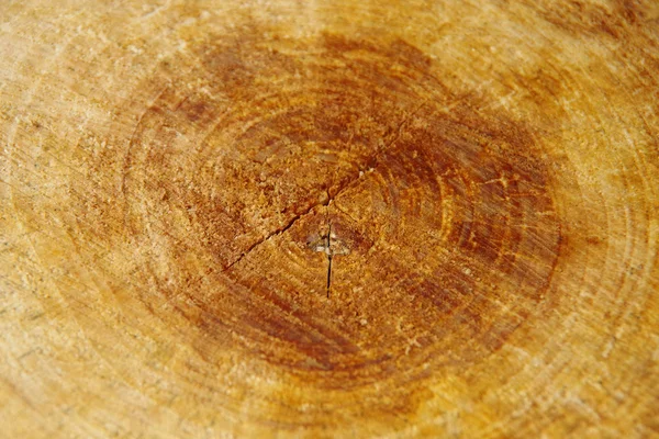 Struttura del legno — Foto Stock