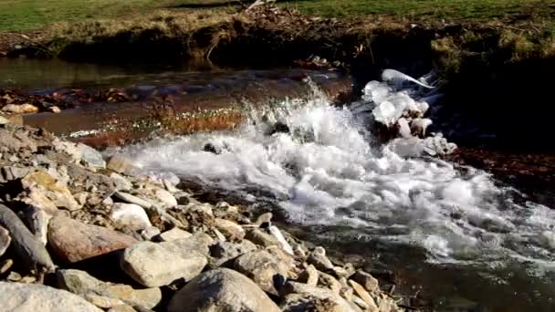 Arroyo congelante — Vídeos de Stock