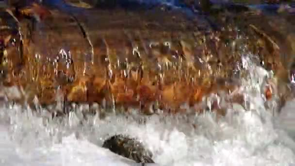 Поток ручья — стоковое видео