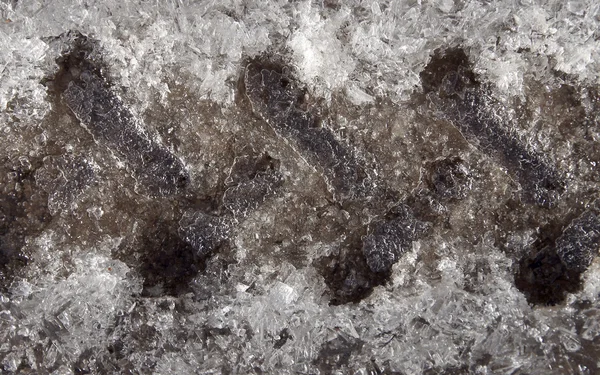 Замороженные следы шин — стоковое фото