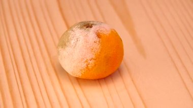 küflü mandalina