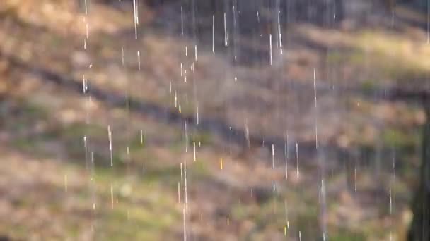 Fallende Wassertropfen — Stockvideo