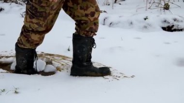 lebontja a jégtábla