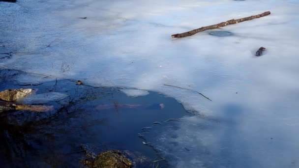 Замороженный пруд — стоковое видео