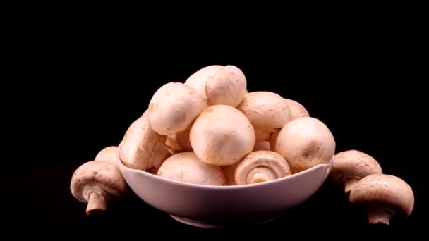 在一个白色的碗香菇 — 图库视频影像