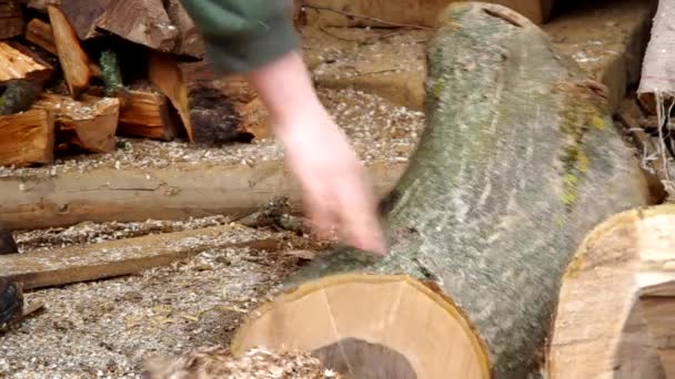 Taglio della legna — Video Stock