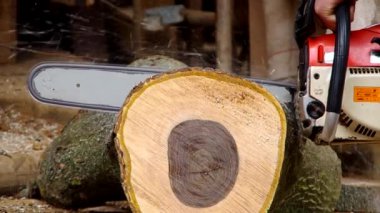 Elektrikli testere kesim ahşap