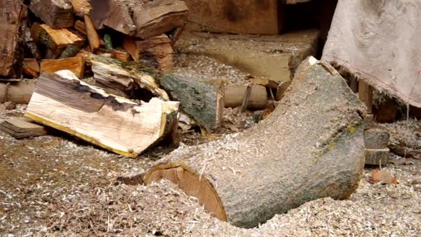 Découpe de bois 