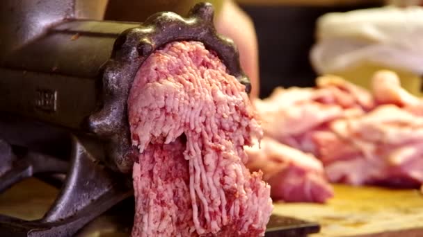 绞肉机碎的肉 — 图库视频影像