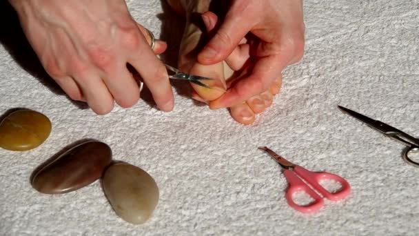 Cutting toenails. — Stock Video