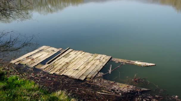 Abgebrochenes Brett am Ufer eines Teiches — Stockvideo