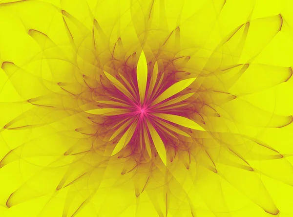 Flor fractal abstrata — Fotografia de Stock