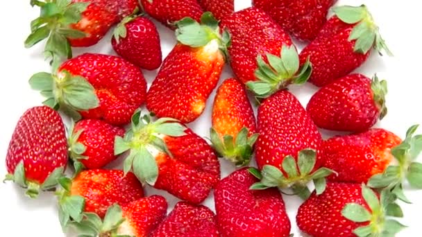 Fresh red strawberries — Stock Video