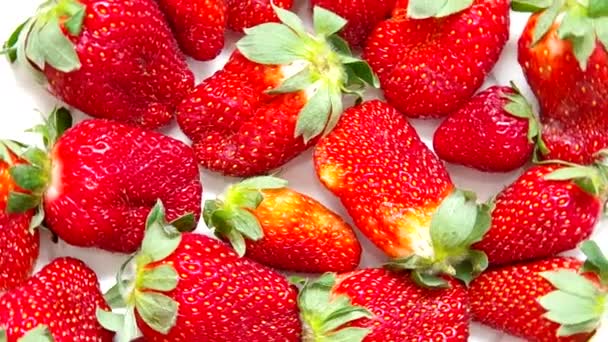 Fragole rosse fresche — Video Stock