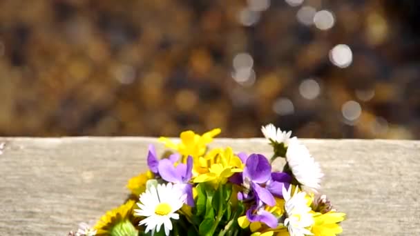 Menging van voorjaarsbloemen — Stockvideo