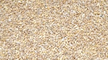 arpa tesviyeci-montaj aleti