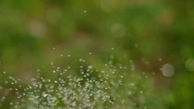 oyuncak su damlaları