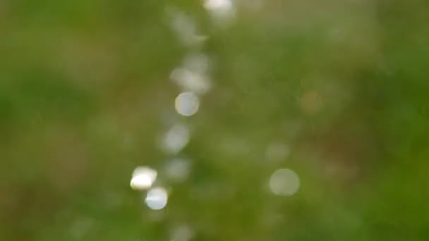 Squirting gouttes d'eau comme un bokeh 
