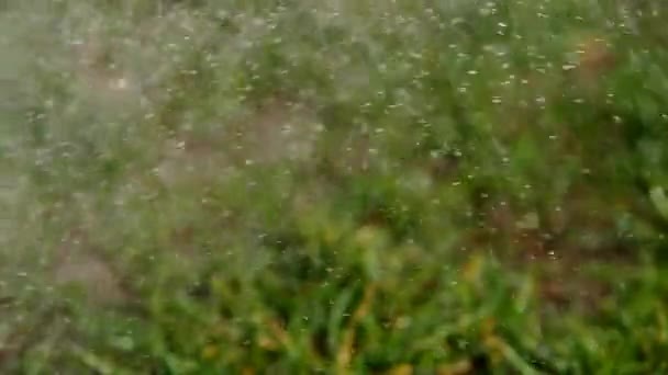 Gotas de agua chorreando — Vídeo de stock