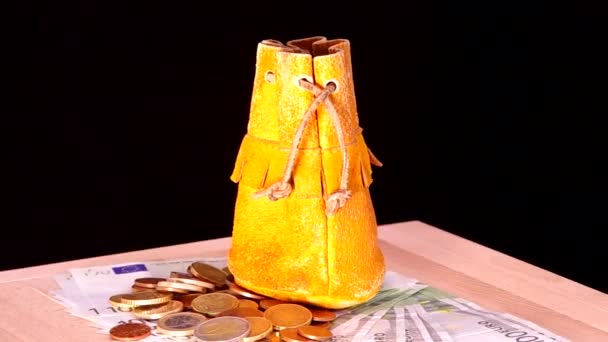 Kožený měšec, euromince a eurobankovky sto. — Stock video