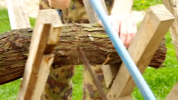 Розпиловка деревини — стокове відео