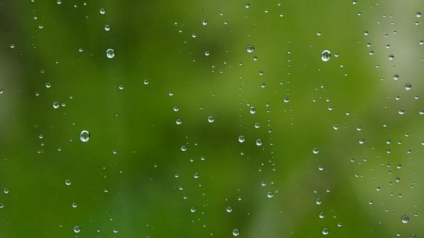 Gouttes d'eau sur la fenêtre — Video