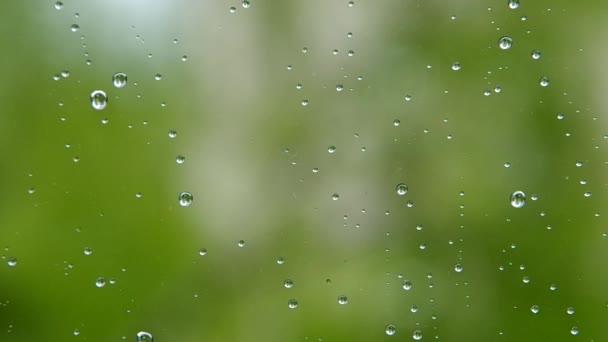 Gotas de agua en la ventana — Vídeos de Stock