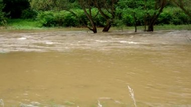 ağır yağmur sonrası Nehri taştı