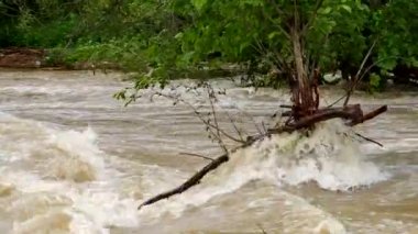 ağır yağmur sonrası Nehri taştı
