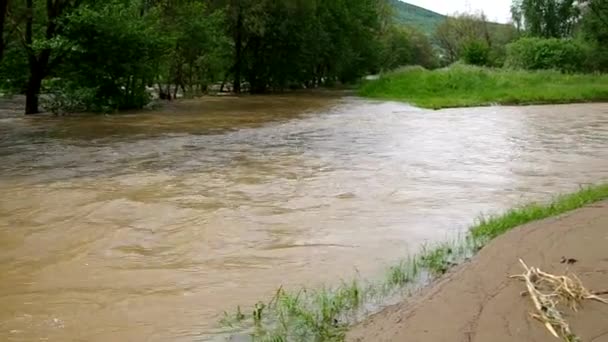 El río se desbordó después de fuertes lluvias — Vídeos de Stock