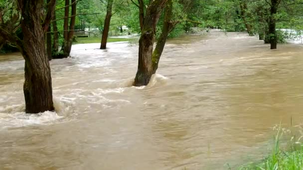 El río se desbordó después de fuertes lluvias — Vídeos de Stock