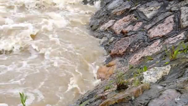 Una fuerte corriente de agua después de fuertes lluvias . — Vídeos de Stock