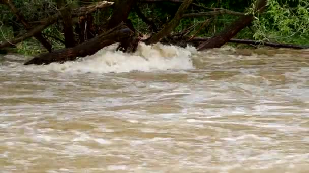 Tempestuous flow of the river — Stock Video