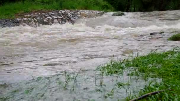 Tempestuous flow of the river — Stock Video