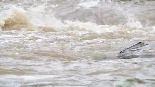 De rivier overstroomd na zware regenval — Stockvideo