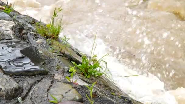 Tempestuous flow of the river — Stock Video