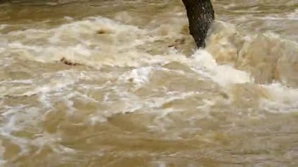 Caudal tempestuoso del río — Vídeos de Stock