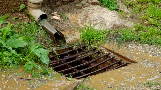 Agua que vierte en el desagüe durante la lluvia — Vídeos de Stock