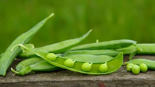 Ripe green peas — Wideo stockowe