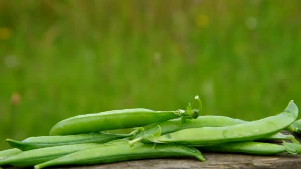 Ripe green peas — Wideo stockowe