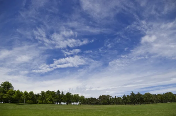 Riesiger Himmel und grünes Feld — Stockfoto