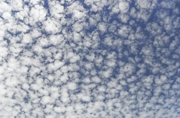 Cloudscape of puffy clouds — Stock Photo, Image