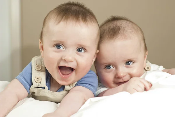 Jumeaux les garçons rire et sentir — Photo