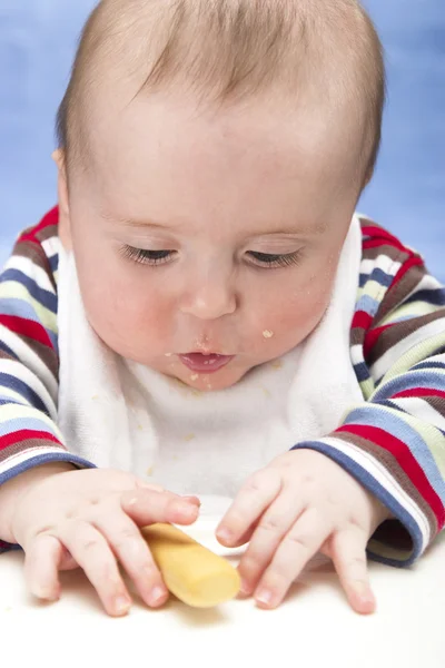 Messy baby boy focuses on rusk — Stock Photo, Image