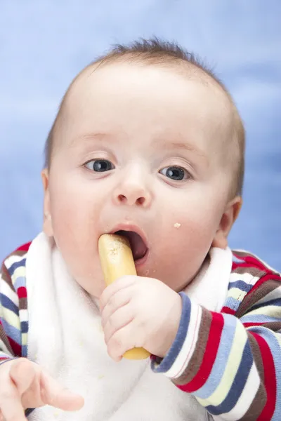 Zes maanden oude jongen kauwt op tandjes rusk — Stockfoto