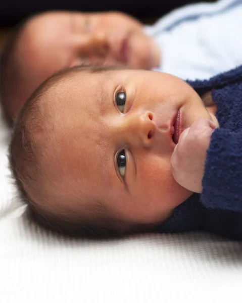 Six day old boy — Stock Photo, Image