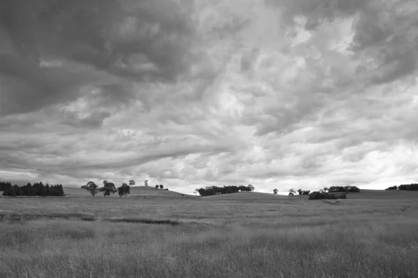 Nuvens de tempestade sobre prados — Fotografia de Stock