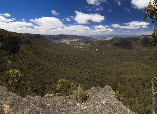 Megalong Valley from Mt White Lookout — Stock Photo, Image