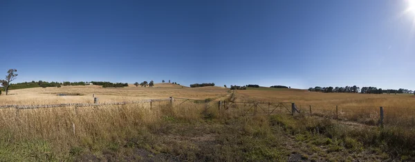 Ферма землі неподалік місті Lithgow Nsw Австралії — стокове фото