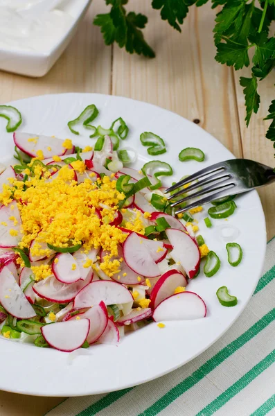 Insalata di primavera con ravanelli — Foto Stock